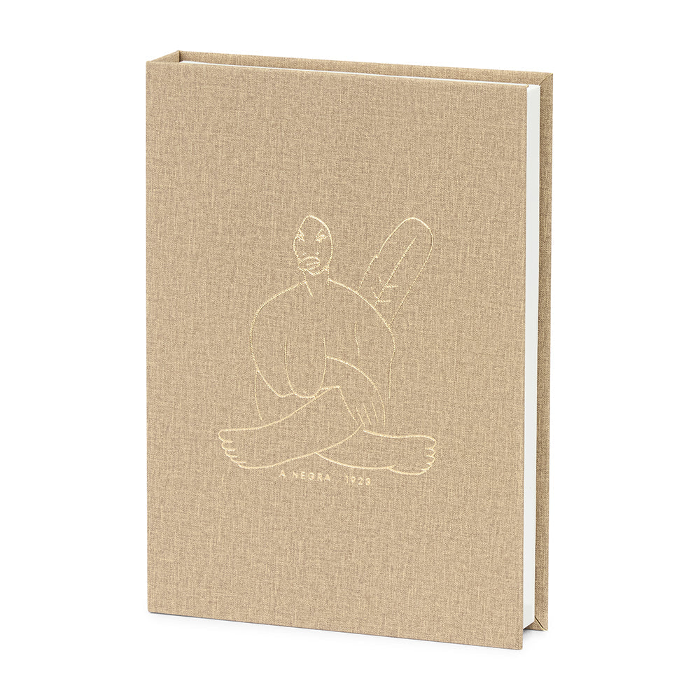 Livro Caixa A Negra Bege MDF e PU 25x18x4cm Mart