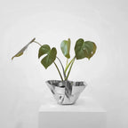 Cachepot / Fruteira / Balde Gelo Fiori Inox Riva