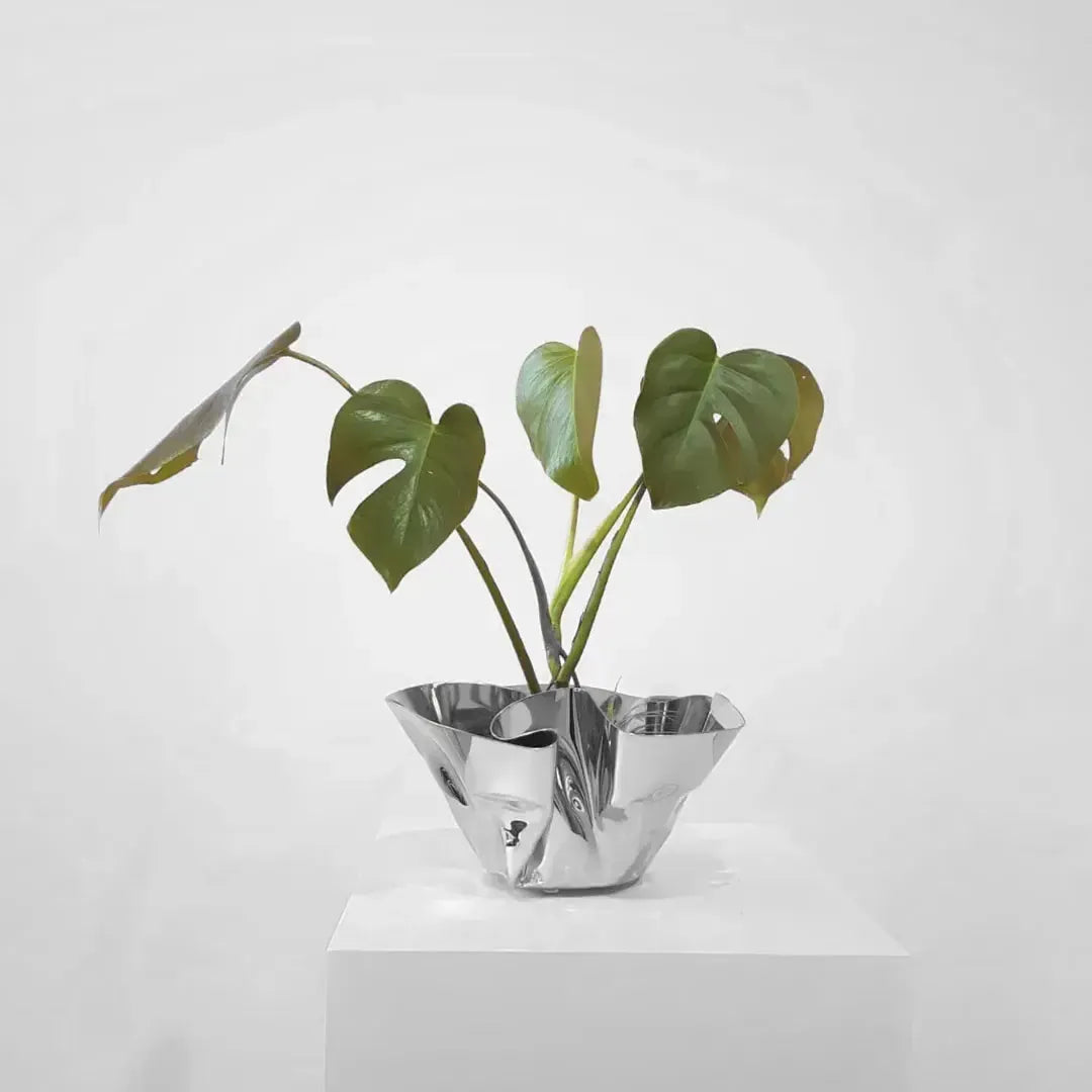 Cachepot / Fruteira / Balde Gelo Fiori Inox Riva