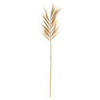 Folha Decorativa em Fibra Natural Marrom 205x65x2cm Mart