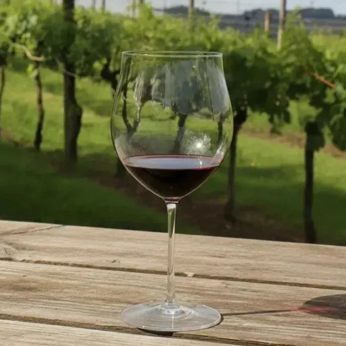 Jogo 2 Taças Mozart em Puro Cristal para Romanée Conti 1050ml