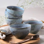 Jogo 6 Bowls Stoneware Orgânico Breeze 558ml Porto Brasil