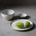 Jogo 6 Bowls Stoneware Orgânico Pistache 558ml Porto Brasil