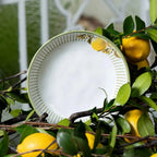Jogo 6 Pratos Fundos Stoneware Bio Lemon 22,5cm 830ml Porto Brasil