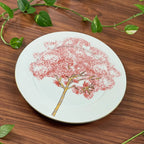Jogo 6 Pratos Rasos Cerâmica Ypê Rosa com Filete de Ouro 28cm Scalla