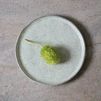 Jogo 6 Pratos de Sobremesa Stoneware Bio Pistache 21,5cm Porto Brasil
