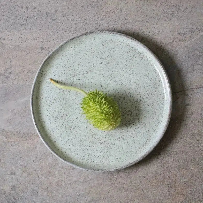 Jogo 6 Pratos de Sobremesa Stoneware Bio Pistache 21,5cm Porto Brasil