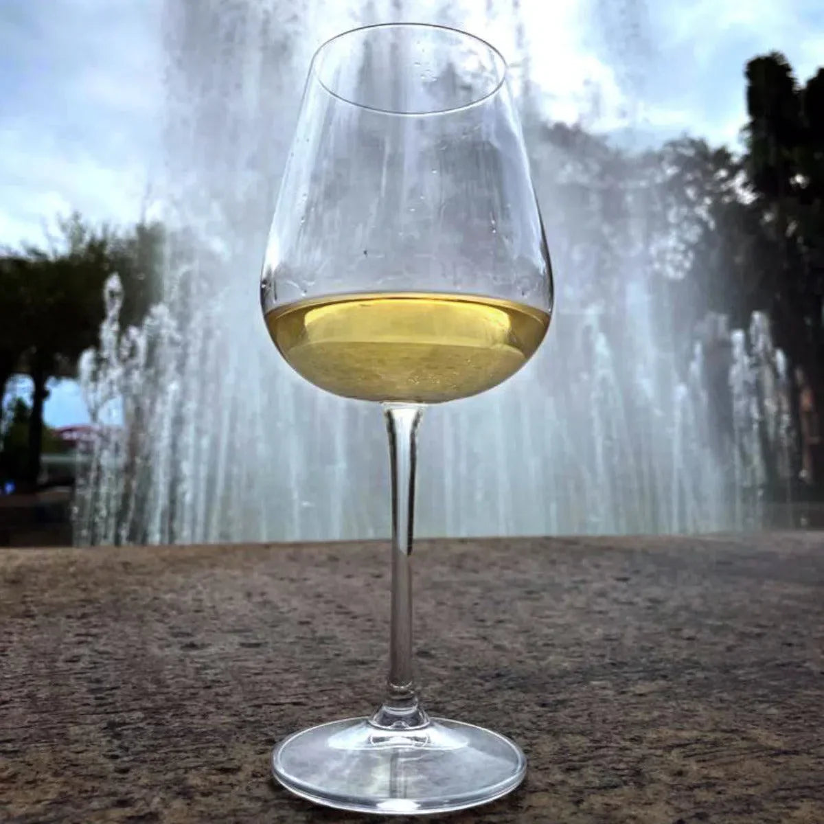 Jogo 6 Taças de Vinho Branco em Cristal Bohemia Margaux 450ml