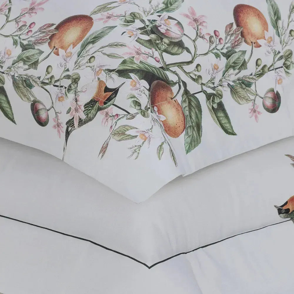 Jogo de Cama Casal Arancia 4 Pçs 300 Fios 100% Algodão Trussardi