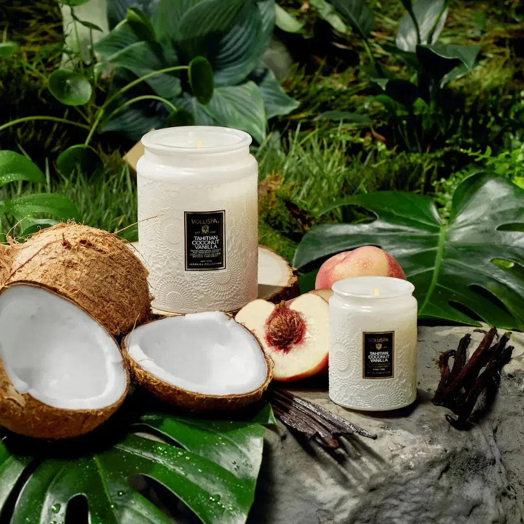 Mini Vela Voluspa Pote de Vidro Relevo Tahitian Coconut Vanilla 50 Horas