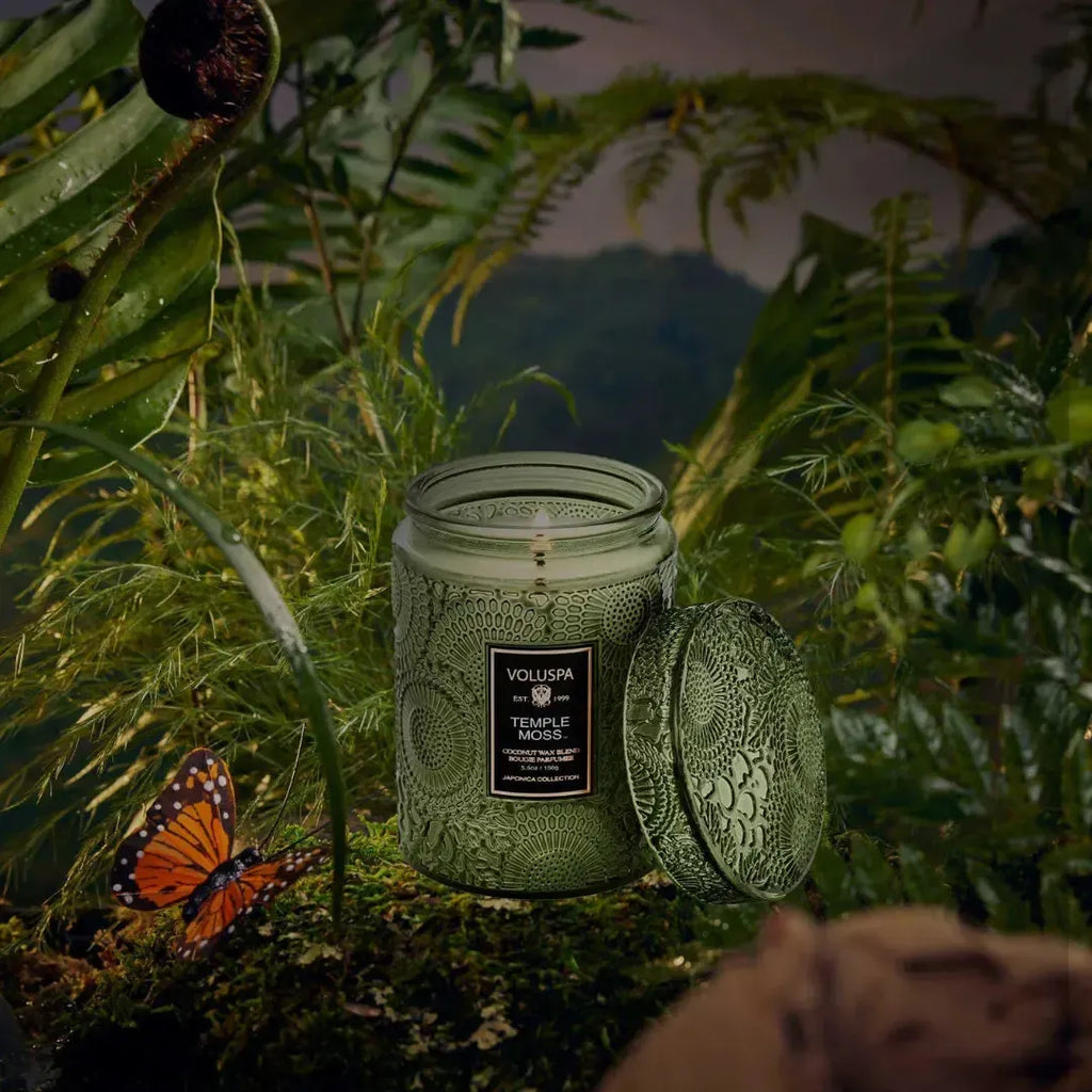 Mini Vela Voluspa Pote de Vidro Relevo Temple Moss 50 Horas