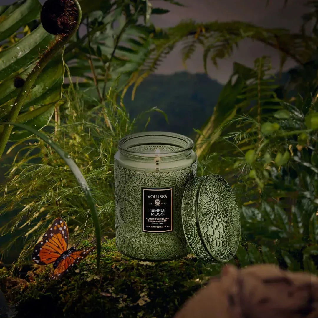 Mini Vela Voluspa Pote de Vidro Relevo Temple Moss 50 Horas