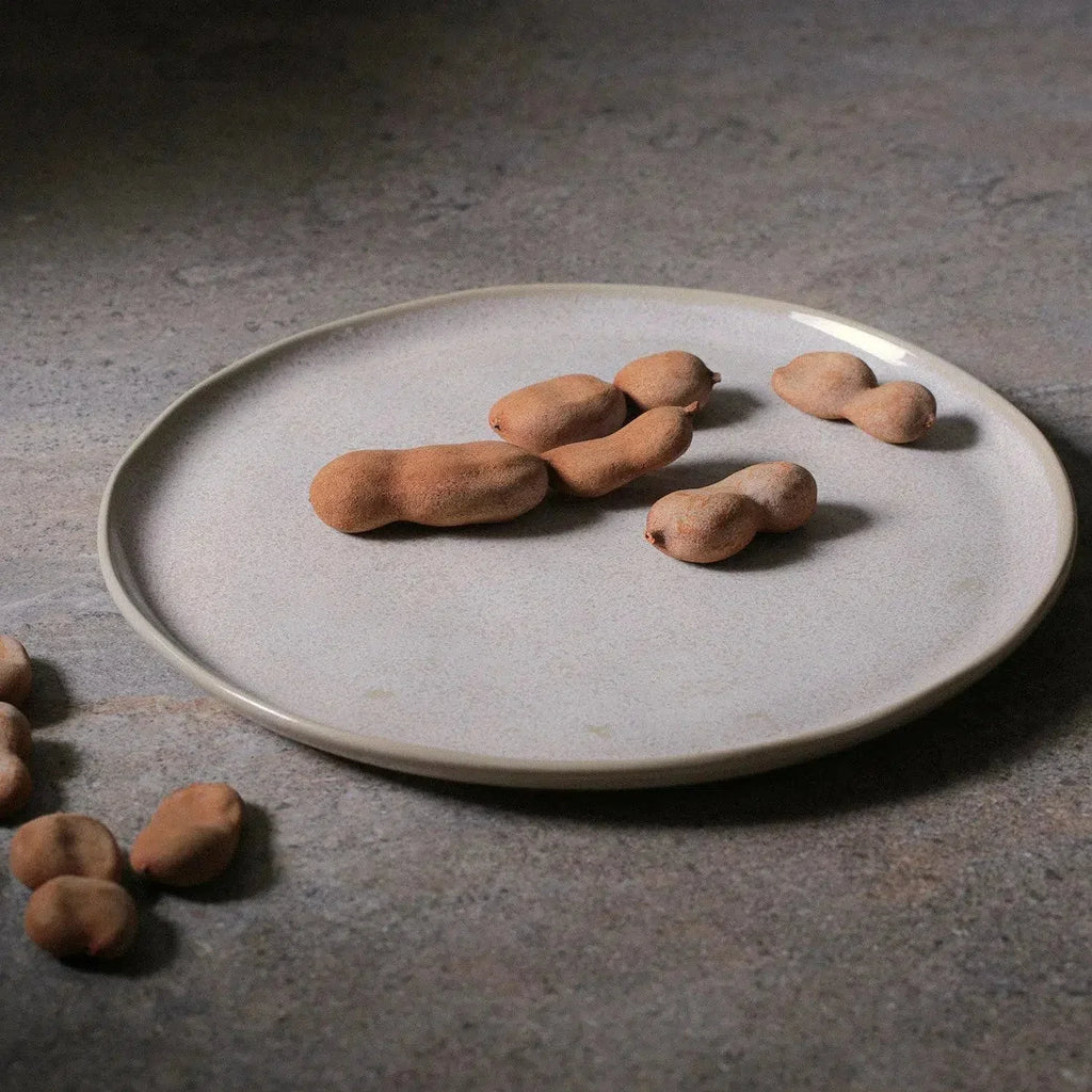 Jogo 6 Pratos Rasos Stoneware Bio Latte 27,5cm Porto Brasil