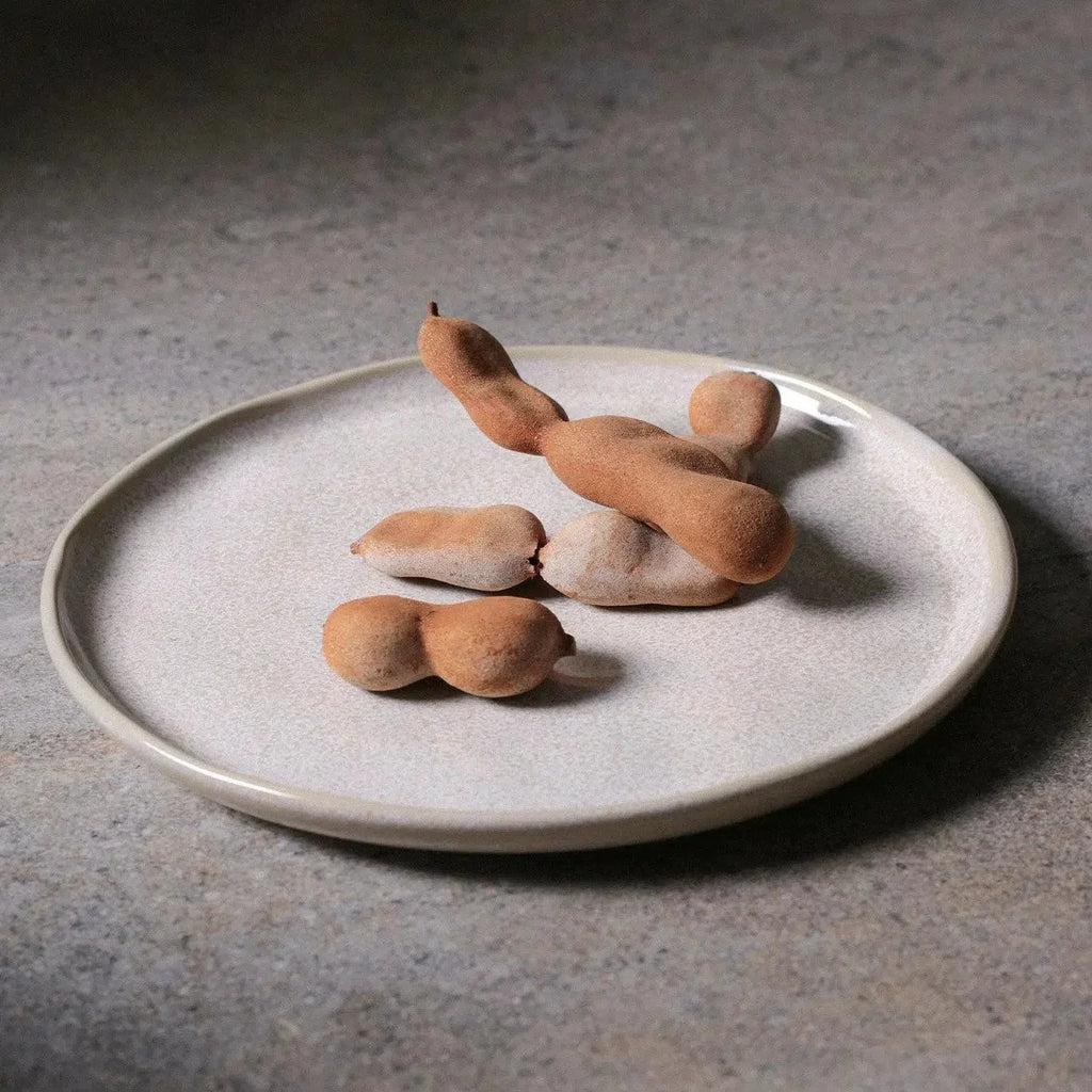 Jogo 6 Pratos de Sobremesa Stoneware Bio Latte 21,5cm Porto Brasil