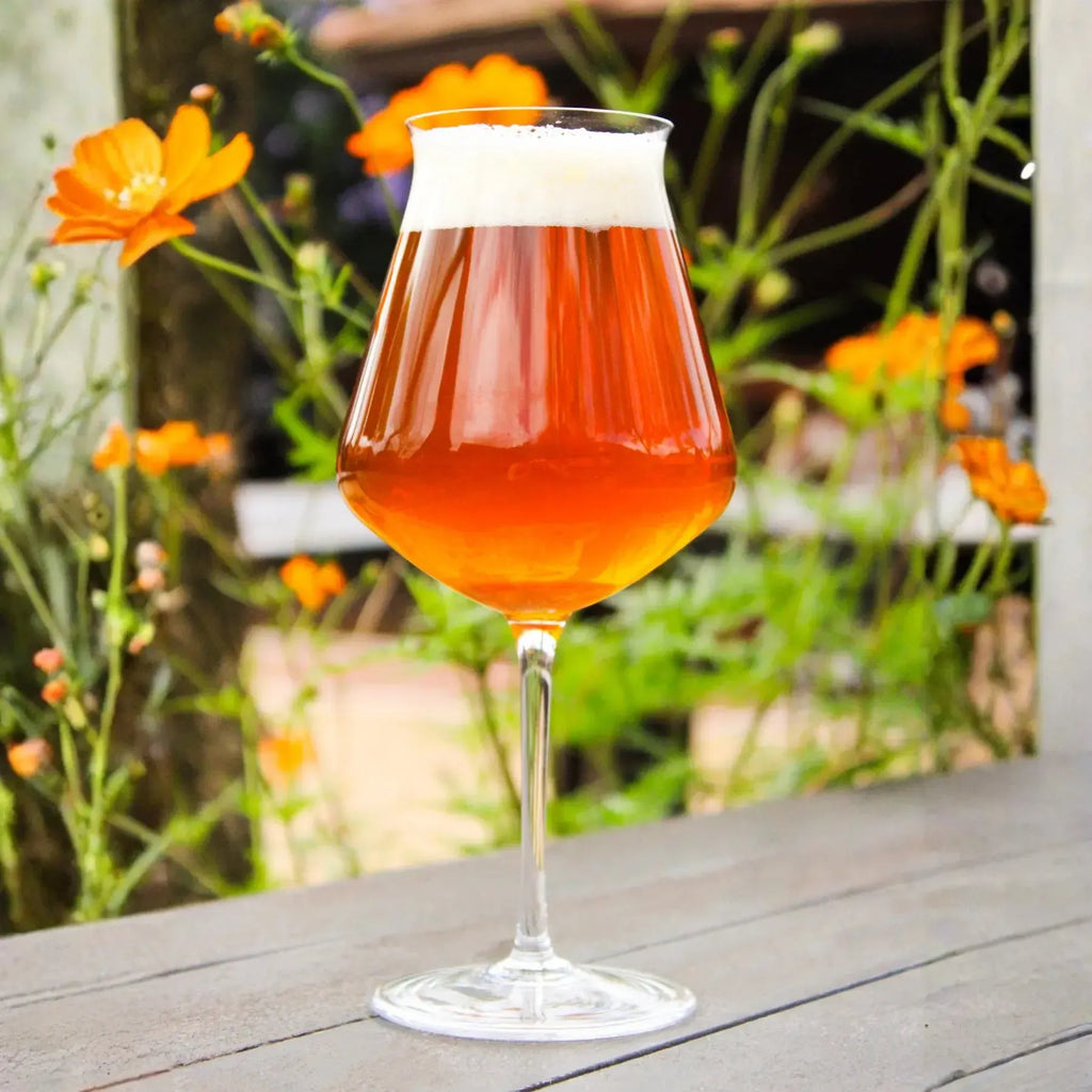 Jogo 2 Taças Mozart em Puro Cristal para Cerveja Craft Beer 450ml