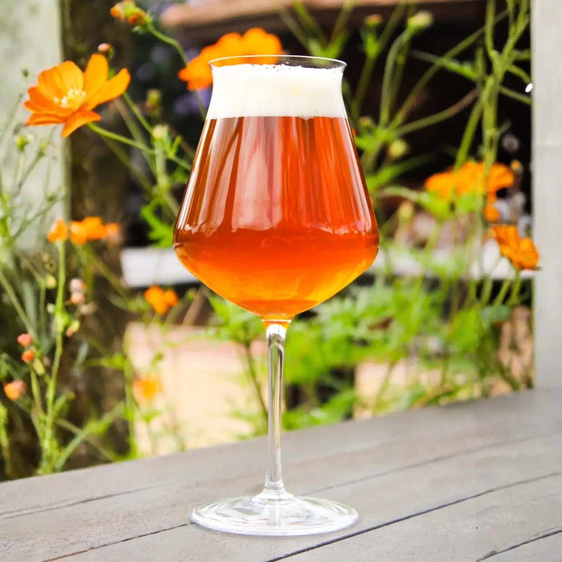 Jogo 2 Taças Mozart em Puro Cristal para Cerveja Craft Beer 450ml