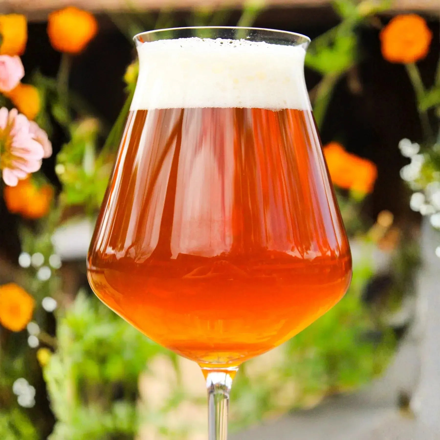 Jogo 2 Taças Mozart em Puro Cristal para Cerveja Craft Beer 450ml