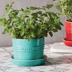 Vaso para Ervas com Bandeja Cerâmica Azul Caribe 14cm Le Creuset