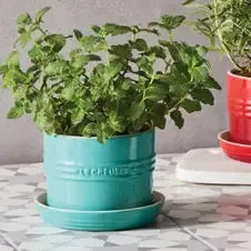 Vaso para Ervas com Bandeja Cerâmica Azul Caribe 14cm Le Creuset