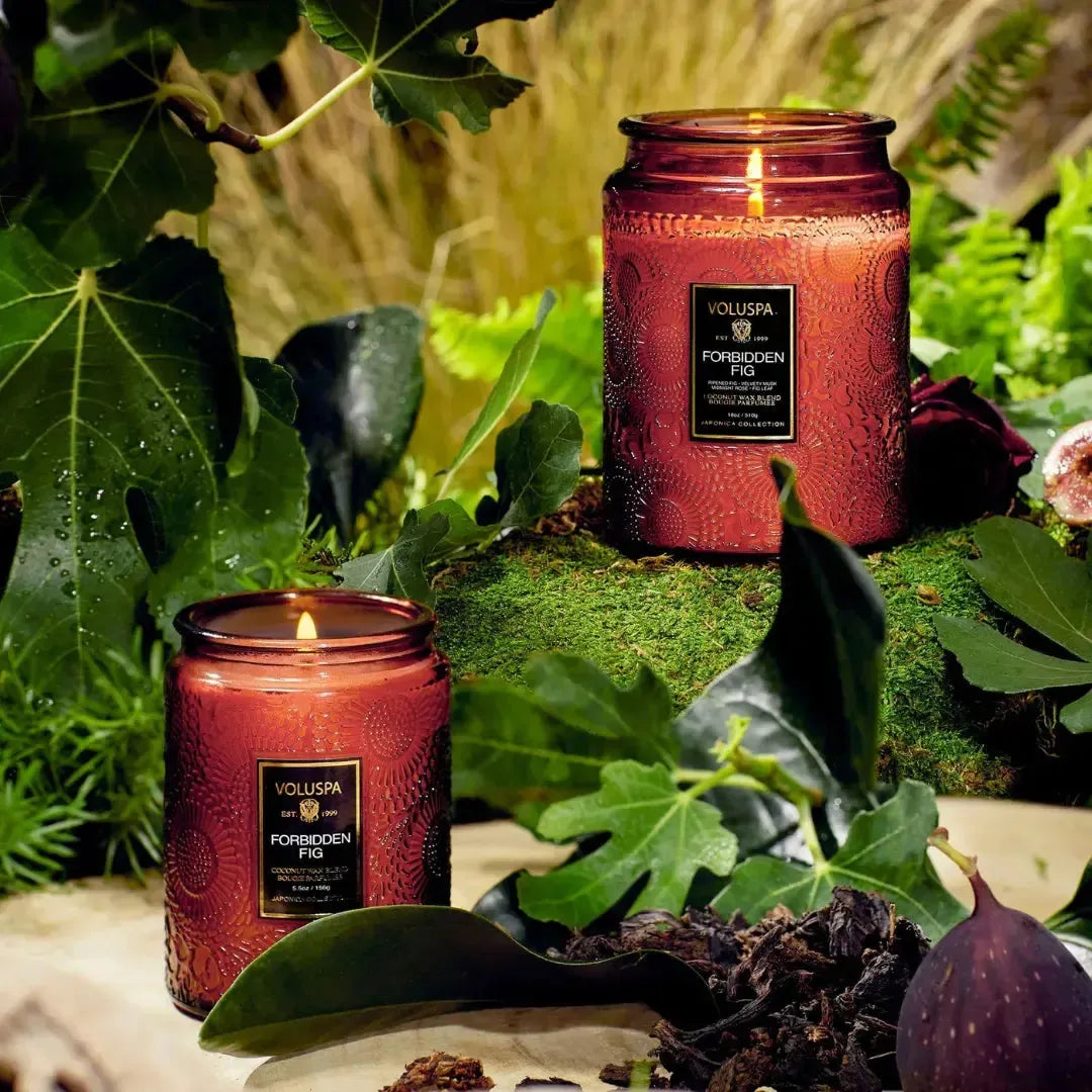 Vela Voluspa Pote de Vidro Grande Forbidden Fig 100 Horas