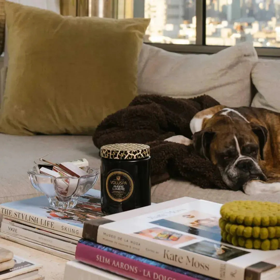 Vela Voluspa Pote de Vidro Grande Maison Ambre Lumiere 100 Horas