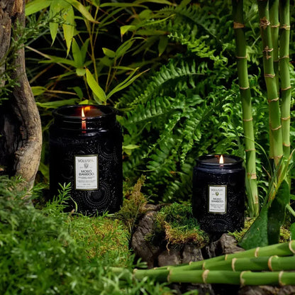 Vela Voluspa Pote de Vidro Grande Moso Bamboo 100 Horas